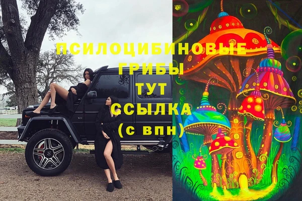 прущие крисы Алексеевка