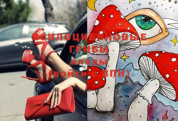 прущие крисы Алексеевка