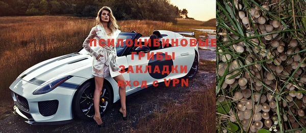 прущие крисы Алексеевка