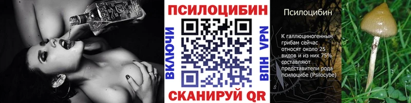 KRAKEN ССЫЛКА  наркота  Ревда  Галлюциногенные грибы Psilocybe 